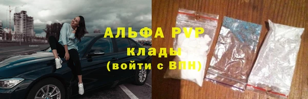 гашик Арсеньев