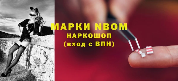 гашик Арсеньев