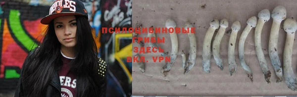 прущая мука Армянск