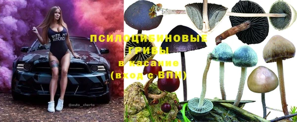 прущая мука Армянск
