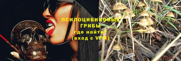 гашик Арсеньев