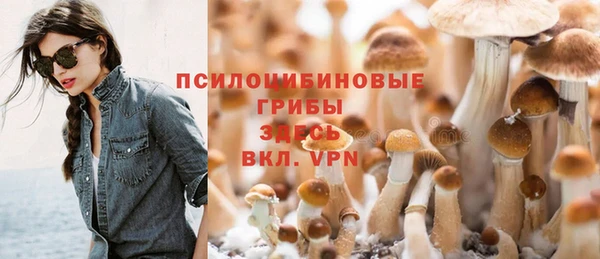 гашик Арсеньев