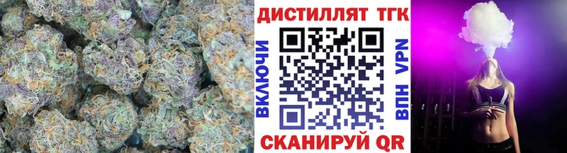 как найти наркотики  Светлогорск  mega сайт  нарко площадка клад  ТГК THC oil 