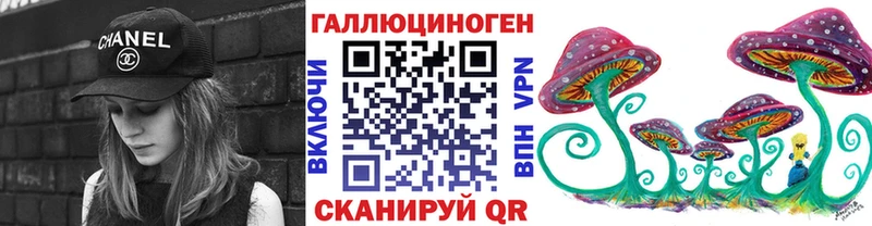 как найти   Светлогорск  Галлюциногенные грибы мухоморы 